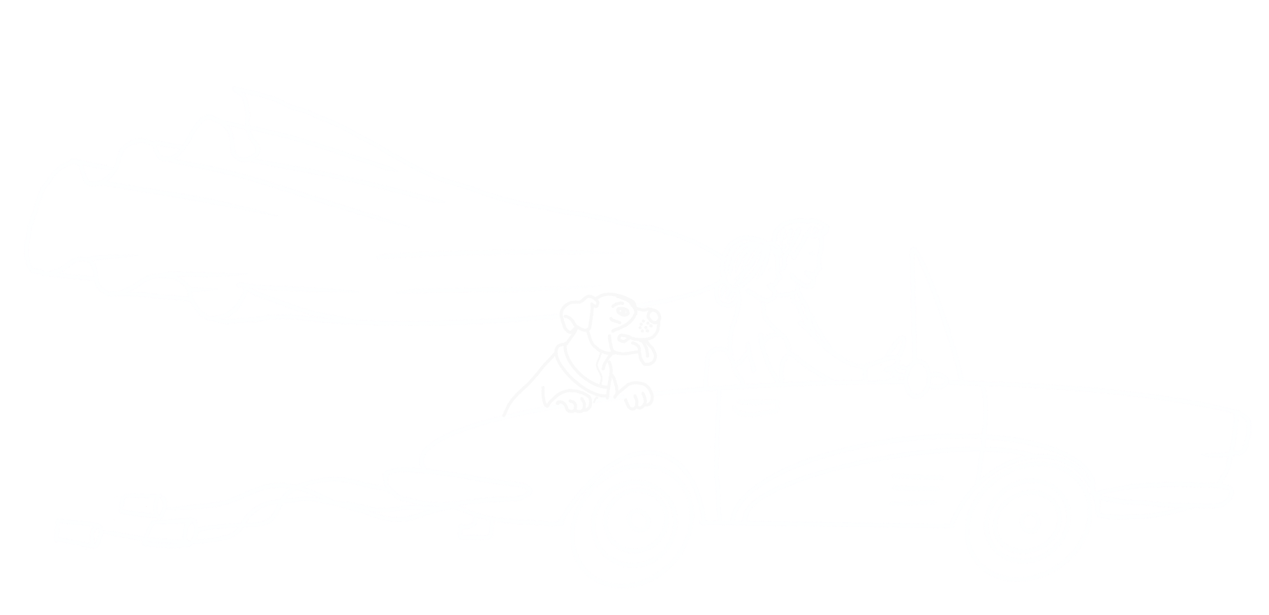 Coche